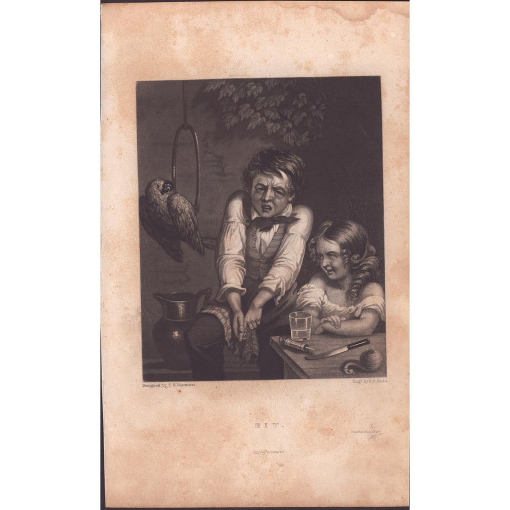 Antique Mezzotint Engraving Bit TH Matteson HS Sadd Parrot Boy Girl 19th Century - Picture 1 of 1